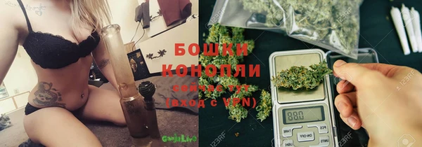ECSTASY Богданович