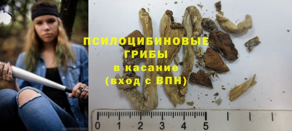 амф Белокуриха
