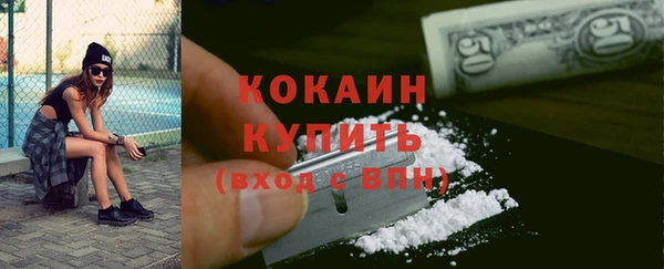 mdpv Богородицк