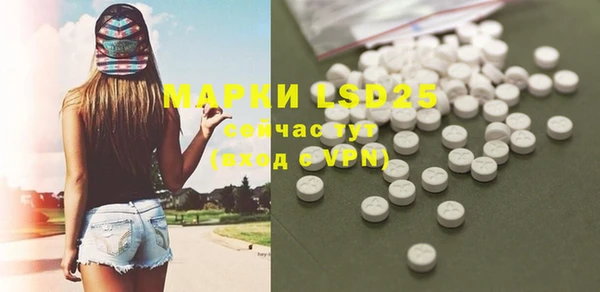 прущие грибы Балахна
