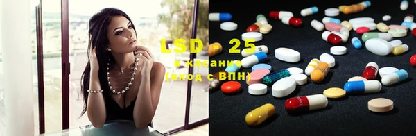 ECSTASY Богданович