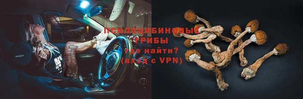 mdpv Богородицк