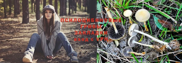 амф Белокуриха